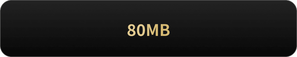 80MB